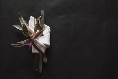 Doğal güneş ışığının siyah zemininde beyaz peçete, gölge. Mutfak masası manzarası, masa düzenleme. Pervazlı bitki dalı Güzel retro, rustik arkaplan, serbest alan.