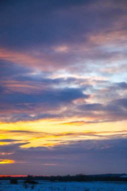 Güzel renkli günbatımı kış manzarası. Mor ve pembe renklerle kaplı kar tarlaları. Ağaçların siluetleri ve parlak kar. Karda kurutulmuş bitkiler..