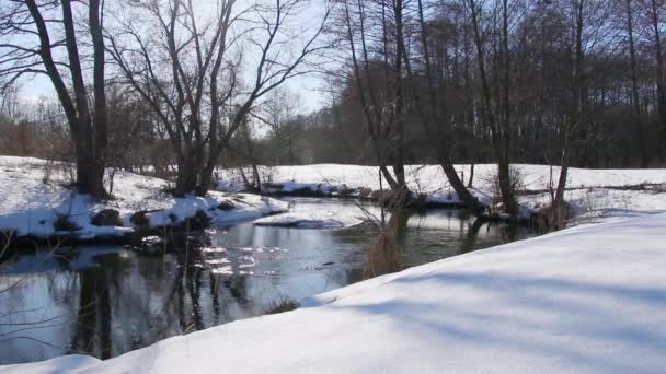 IJs bij de oever van de rivier met een reflectie van de winterhemel. — Stockvideo
