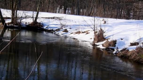 IJs bij de oever van de rivier met een reflectie van de winterhemel. — Stockvideo