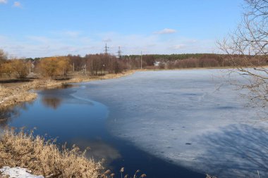 Güneşli bir günde söğüt ağaçlarıyla dolu bahar manzarası. Ukrayna Şostkası. güzel doğal arkaplan