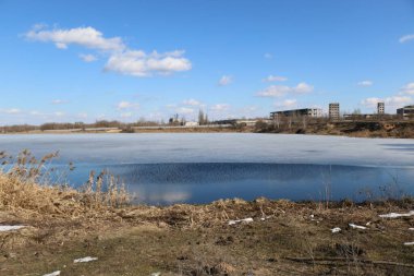 Güneşli bir günde söğüt ağaçlarıyla dolu bahar manzarası. Ukrayna Şostkası. güzel doğal arkaplan