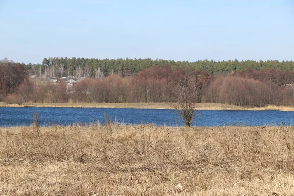 Kuru sazlıklar suyun üzerine eğildi. Güneşli bahar günü,