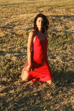 Kırmızı elbiseli güzel bir esmerin portresi biçilmiş buğday tarlasının arka planında, yazın açık havada, gün batımında. Mutlu dans eden kadın