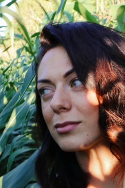 Yazın mısır yaprakları içinde güzel esmer bir kız, doğadaki bir kadının sanat portresi. Kameraya bakarak kahkahalar atmak, seçici keskinlik, açık iş gölgesi doğal ışık.