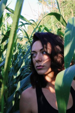 Yazın mısır yaprakları içinde güzel esmer bir kız, doğadaki bir kadının sanat portresi. Kameraya bakarak kahkahalar atmak, seçici keskinlik, açık iş gölgesi doğal ışık.