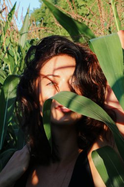 Yazın mısır yaprakları içinde güzel esmer bir kız, doğadaki bir kadının sanat portresi. Kameraya bakarak kahkahalar atmak, seçici keskinlik, açık iş gölgesi doğal ışık.