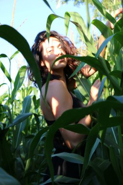 Yazın mısır yaprakları içinde güzel esmer bir kız, doğadaki bir kadının sanat portresi. Kameraya bakarak kahkahalar atmak, seçici keskinlik, açık iş gölgesi doğal ışık.