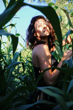 Yazın mısır yaprakları içinde güzel esmer bir kız, doğadaki bir kadının sanat portresi. Kameraya bakarak kahkahalar atmak, seçici keskinlik, açık iş gölgesi doğal ışık.