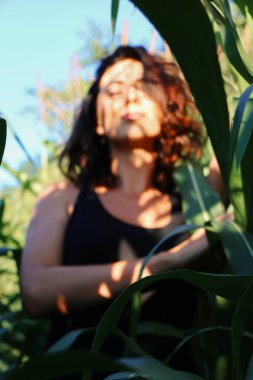 Yazın mısır yaprakları içinde güzel esmer bir kız, doğadaki bir kadının sanat portresi. Kameraya bakarak kahkahalar atmak, seçici keskinlik, açık iş gölgesi doğal ışık.