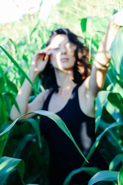 Yazın mısır yaprakları içinde güzel esmer bir kız, doğadaki bir kadının sanat portresi. Kameraya bakarak kahkahalar atmak, seçici keskinlik, açık iş gölgesi doğal ışık.