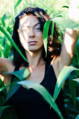 Yazın mısır yaprakları içinde güzel esmer bir kız, doğadaki bir kadının sanat portresi. Kameraya bakarak kahkahalar atmak, seçici keskinlik, açık iş gölgesi doğal ışık.