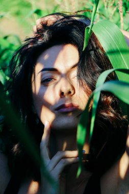 Yazın mısır yaprakları içinde güzel esmer bir kız, doğadaki bir kadının sanat portresi. Kameraya bakarak kahkahalar atmak, seçici keskinlik, açık iş gölgesi doğal ışık.