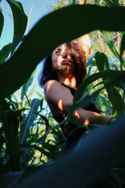 Yazın mısır yaprakları içinde güzel esmer bir kız, doğadaki bir kadının sanat portresi. Kameraya bakarak kahkahalar atmak, seçici keskinlik, açık iş gölgesi doğal ışık.