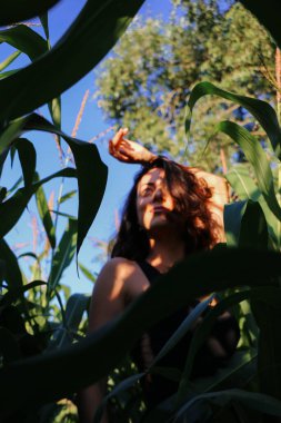 Yazın mısır yaprakları içinde güzel esmer bir kız, doğadaki bir kadının sanat portresi. Kameraya bakarak kahkahalar atmak, seçici keskinlik, açık iş gölgesi doğal ışık.