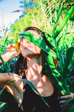 Yazın mısır yaprakları içinde güzel esmer bir kız, doğadaki bir kadının sanat portresi. Kameraya bakarak kahkahalar atmak, seçici keskinlik, açık iş gölgesi doğal ışık.