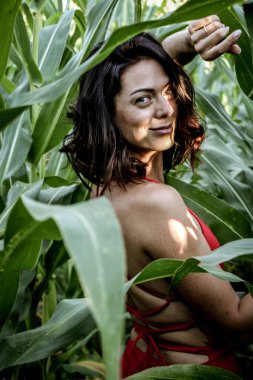 Yazın mısır yaprakları içinde güzel esmer bir kız, doğadaki bir kadının sanat portresi. Kameraya bakarak kahkahalar atmak, seçici keskinlik, açık iş gölgesi doğal ışık.