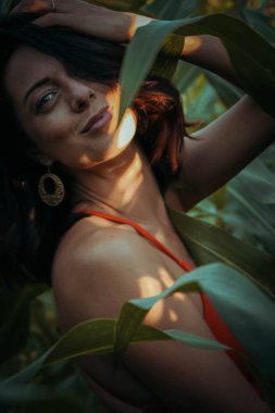 Yazın mısır yaprakları içinde güzel esmer bir kız, doğadaki bir kadının sanat portresi. Kameraya bakarak kahkahalar atmak, seçici keskinlik, açık iş gölgesi doğal ışık.