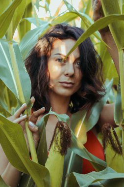 Yazın mısır yaprakları içinde güzel esmer bir kız, doğadaki bir kadının sanat portresi. Kameraya bakarak kahkahalar atmak, seçici keskinlik, açık iş gölgesi doğal ışık.