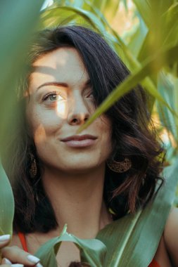 Yazın mısır yaprakları içinde güzel esmer bir kız, doğadaki bir kadının sanat portresi. Kameraya bakarak kahkahalar atmak, seçici keskinlik, açık iş gölgesi doğal ışık.