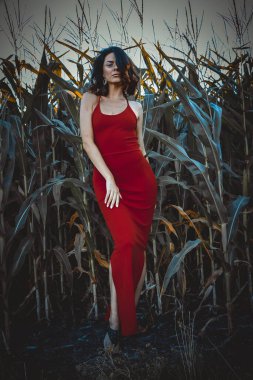 Kırmızı elbiseli güzel esmer kız yaz mısır yaprakları, doğadaki bir kadının sanat portresi. Kameraya bakarak kahkahalar atmak, seçici keskinlik, açık iş gölgesi doğal ışık.