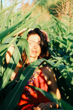 Yazın mısır yaprakları içinde güzel esmer bir kız, doğadaki bir kadının sanat portresi. Kameraya bakarak kahkahalar atmak, seçici keskinlik, açık iş gölgesi doğal ışık.