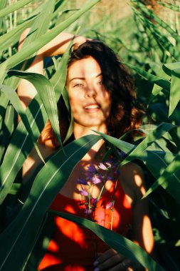 Yazın mısır yaprakları içinde güzel esmer bir kız, doğadaki bir kadının sanat portresi. Kameraya bakarak kahkahalar atmak, seçici keskinlik, açık iş gölgesi doğal ışık.