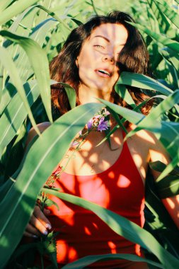 Yazın mısır yaprakları içinde güzel esmer bir kız, doğadaki bir kadının sanat portresi. Kameraya bakarak kahkahalar atmak, seçici keskinlik, açık iş gölgesi doğal ışık.