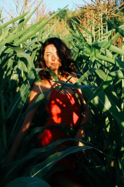 Yazın mısır yaprakları içinde güzel esmer bir kız, doğadaki bir kadının sanat portresi. Kameraya bakarak kahkahalar atmak, seçici keskinlik, açık iş gölgesi doğal ışık.