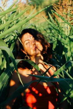 Yazın mısır yaprakları içinde güzel esmer bir kız, doğadaki bir kadının sanat portresi. Kameraya bakarak kahkahalar atmak, seçici keskinlik, açık iş gölgesi doğal ışık.