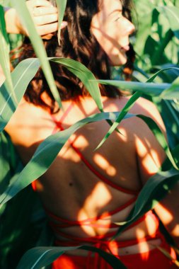 Yazın mısır yaprakları içinde güzel esmer bir kız, doğadaki bir kadının sanat portresi. Kameraya bakarak kahkahalar atmak, seçici keskinlik, açık iş gölgesi doğal ışık.