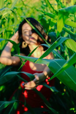 Yazın mısır yaprakları içinde güzel esmer bir kız, doğadaki bir kadının sanat portresi. Kameraya bakarak kahkahalar atmak, seçici keskinlik, açık iş gölgesi doğal ışık.