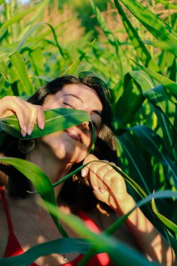 Yazın mısır yaprakları içinde güzel esmer bir kız, doğadaki bir kadının sanat portresi. Kameraya bakarak kahkahalar atmak, seçici keskinlik, açık iş gölgesi doğal ışık.