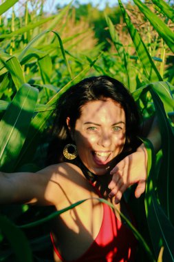 Yazın mısır yaprakları içinde güzel esmer bir kız, doğadaki bir kadının sanat portresi. Kameraya bakarak kahkahalar atmak, seçici keskinlik, açık iş gölgesi doğal ışık.