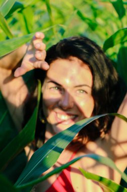 Yazın mısır yaprakları içinde güzel esmer bir kız, doğadaki bir kadının sanat portresi. Kameraya bakarak kahkahalar atmak, seçici keskinlik, açık iş gölgesi doğal ışık.