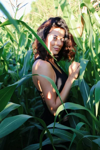 Yazın mısır yaprakları içinde güzel esmer bir kız, doğadaki bir kadının sanat portresi. Kameraya bakarak kahkahalar atmak, seçici keskinlik, açık iş gölgesi doğal ışık.