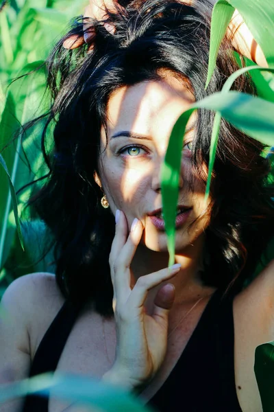 Yazın mısır yaprakları içinde güzel esmer bir kız, doğadaki bir kadının sanat portresi. Kameraya bakarak kahkahalar atmak, seçici keskinlik, açık iş gölgesi doğal ışık.