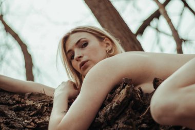 Güzel, genç, çıplak, seksi, sarışın bir kadın koca yaşlı bir ağacın dalında uzanıyor. İnsanlığın ve doğanın birliği kavramı. Yaşamın ekolojisi, gezegenin korunumu.