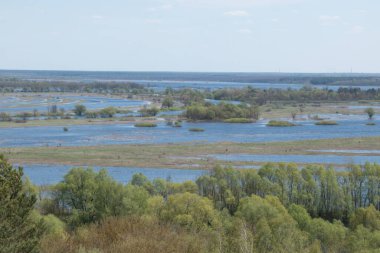 Nehir taşkınının havadan görüntüsü. Sel basmış güzel çayır. Ukrayna 'nın Chernihiv Oblastı' ndaki Ulusal Doğa Parkı 'nda nehir suyla doluyken güzel Desna nehrinin üzerinde uçmak.