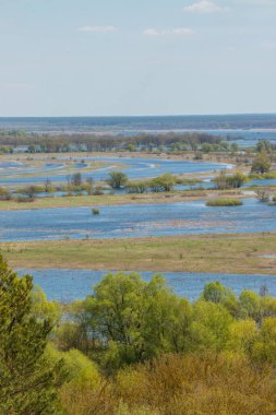 Nehir taşkınının havadan görüntüsü. Sel basmış güzel çayır. Ukrayna 'nın Chernihiv Oblastı' ndaki Ulusal Doğa Parkı 'nda nehir suyla doluyken güzel Desna nehrinin üzerinde uçmak.