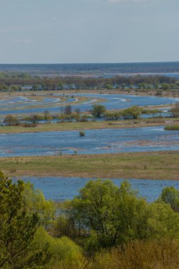 Nehir taşkınının havadan görüntüsü. Sel basmış güzel çayır. Ukrayna 'nın Chernihiv Oblastı' ndaki Ulusal Doğa Parkı 'nda nehir suyla doluyken güzel Desna nehrinin üzerinde uçmak.