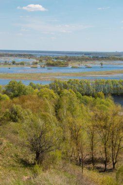 Nehir taşkınının havadan görüntüsü. Sel basmış güzel çayır. Ukrayna 'nın Chernihiv Oblastı' ndaki Ulusal Doğa Parkı 'nda nehir suyla doluyken güzel Desna nehrinin üzerinde uçmak.