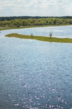 Nehir taşkınının havadan görüntüsü. Sel basmış güzel çayır. Ukrayna 'nın Chernihiv Oblastı' ndaki Ulusal Doğa Parkı 'nda nehir suyla doluyken güzel Desna nehrinin üzerinde uçmak.