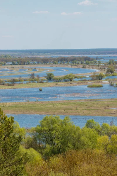 Aerial view of river flood. Beautiful flooded meadow. Flying above beautiful Desna river when the river is full of water at spring at National Nature Park in Chernihiv Oblast, Ukraine.