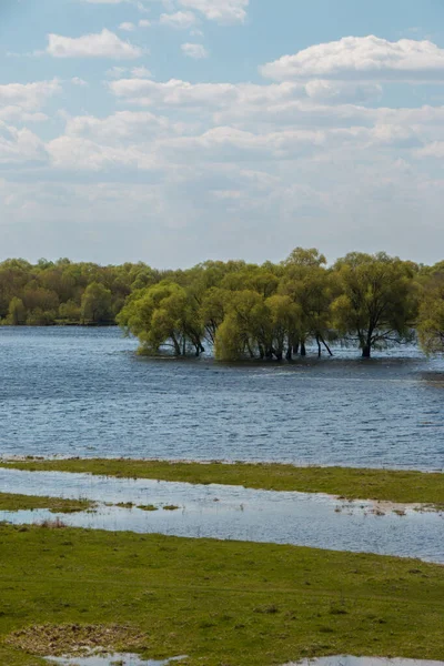 从空中俯瞰河水泛滥 美丽的被水淹没的草地春天 在乌克兰切尔尼赫夫州的国家自然公园 在美丽的德斯纳河上飞驰 河水充满了水 — 图库照片