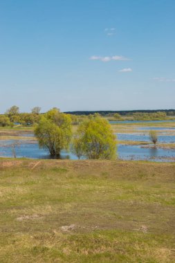 Nehir taşkınının havadan görüntüsü. Sel basmış güzel çayır. Ukrayna 'nın Chernihiv Oblastı' ndaki Ulusal Doğa Parkı 'nda nehir suyla doluyken güzel Desna nehrinin üzerinde uçmak.