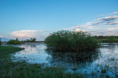 Nehir taşkınının havadan görüntüsü. Sel basmış güzel çayır. Ukrayna 'nın Chernihiv Oblastı' ndaki Ulusal Doğa Parkı 'nda nehir suyla doluyken güzel Desna nehrinin üzerinde uçmak.
