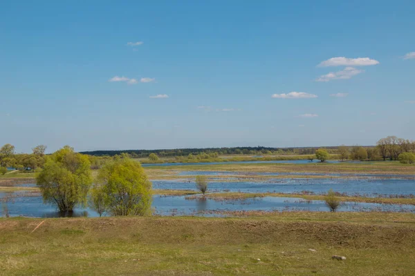 Aerial view of river flood. Beautiful flooded meadow. Flying above beautiful Desna river when the river is full of water at spring at National Nature Park in Chernihiv Oblast, Ukraine.