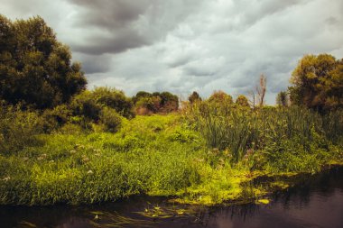 Nehrin yeşil manzarası yemyeşil çimlerin kıyıları arasında. Güneşli bir günde bulutlu bir gökyüzü. Güzel doğal arkaplan.