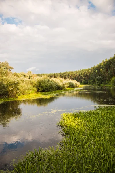 Green Landscape Nature River Banks Lush Grass Sky Clouds Sunny — Stock Photo, Image